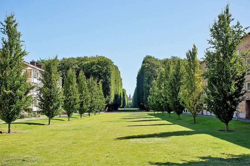 Bostadsrätt, Kronborgsvägen 17B, Kronborg, Malmö