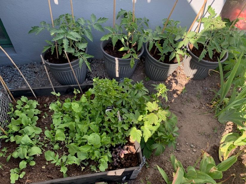 Bostadsrätt, Kungsängsgatan 55E, Kungsängen / Industristaden, Uppsala