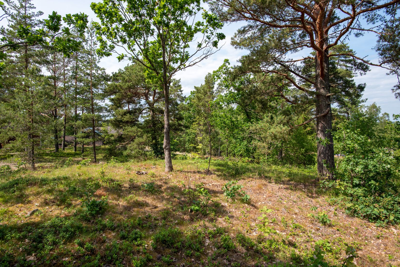 Tomt, Mästers runda 1, Loftahammar, Västervik