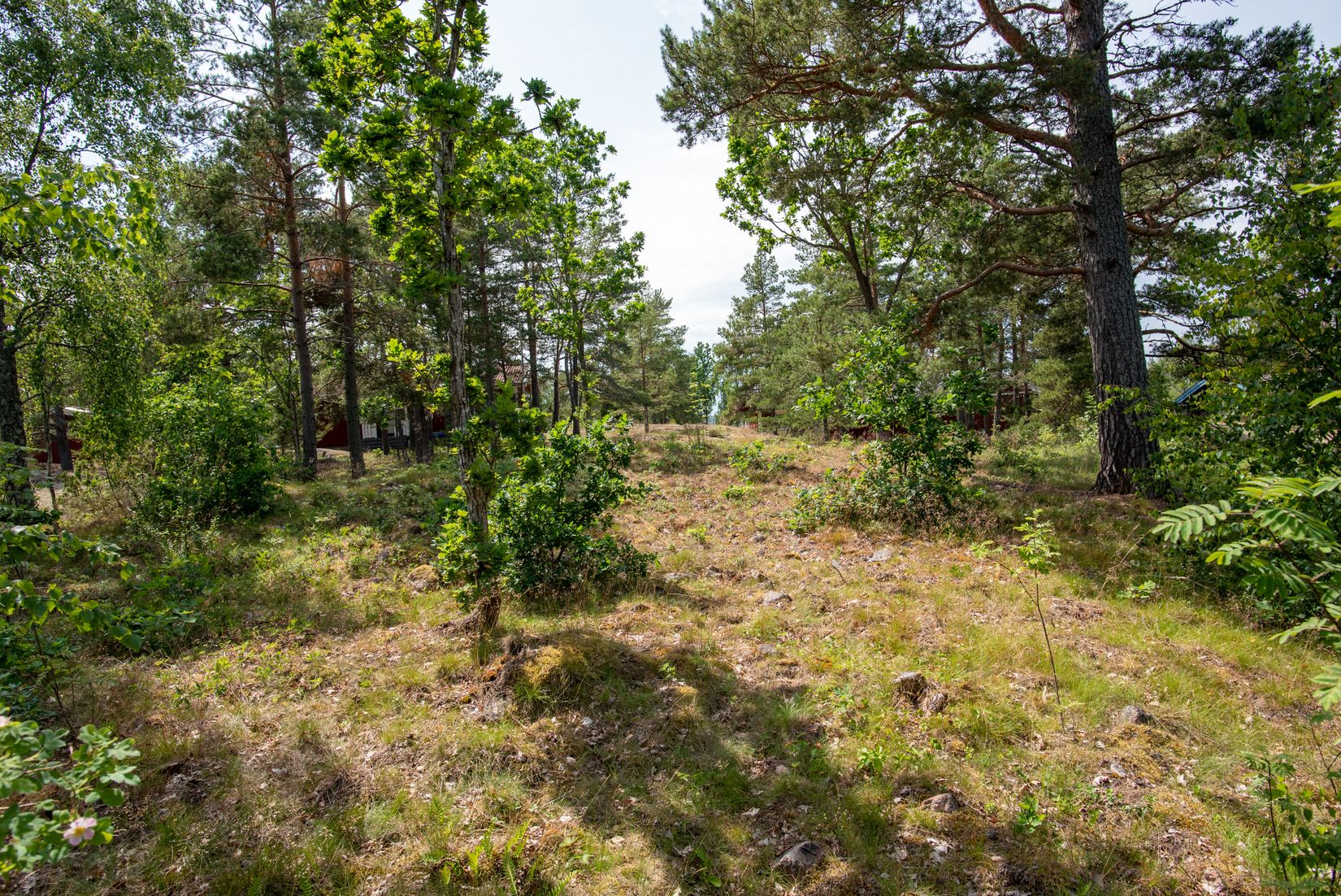 Tomt, Mästers runda 1, Loftahammar, Västervik