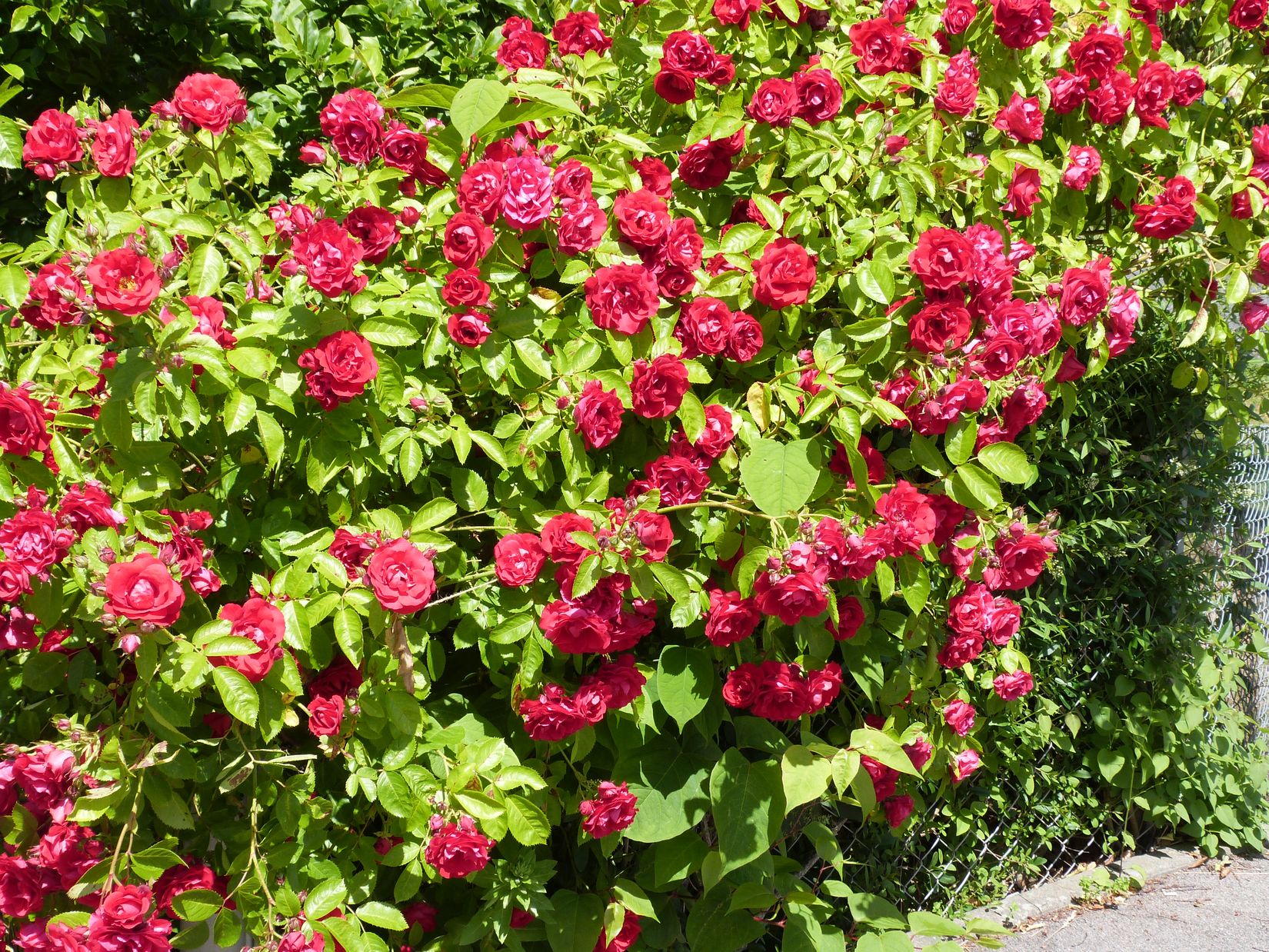 Villa, Strandhemsvägen 22, Ekenäs, Ronneby