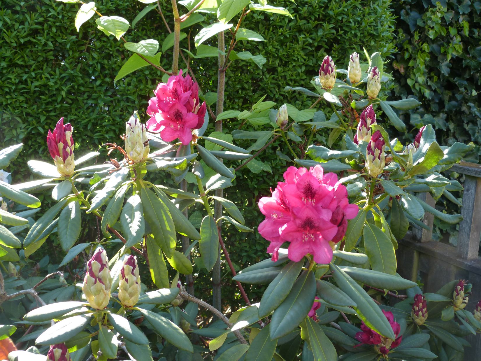 Villa, Strandhemsvägen 22, Ekenäs, Ronneby