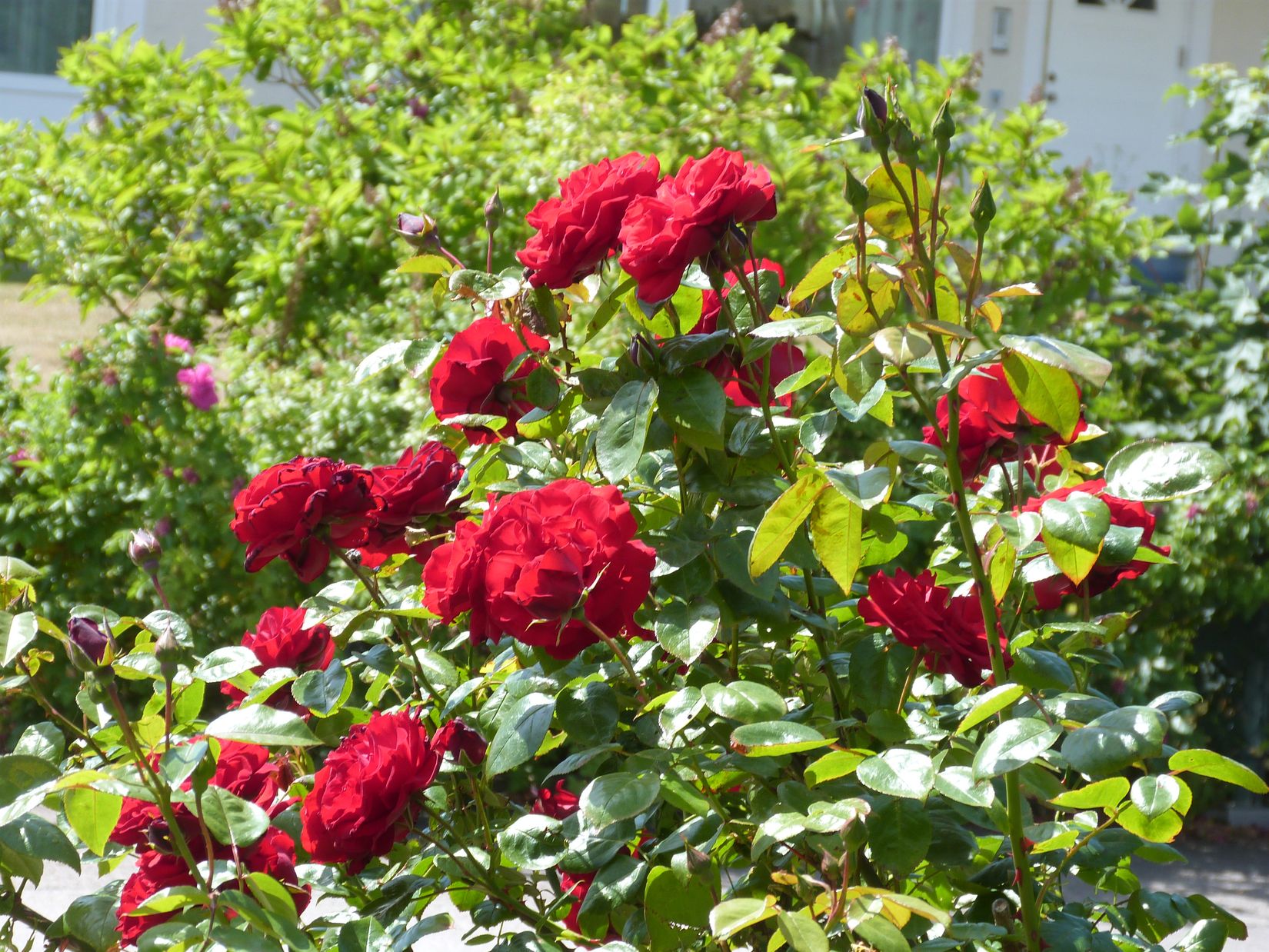 Villa, Strandhemsvägen 22, Ekenäs, Ronneby