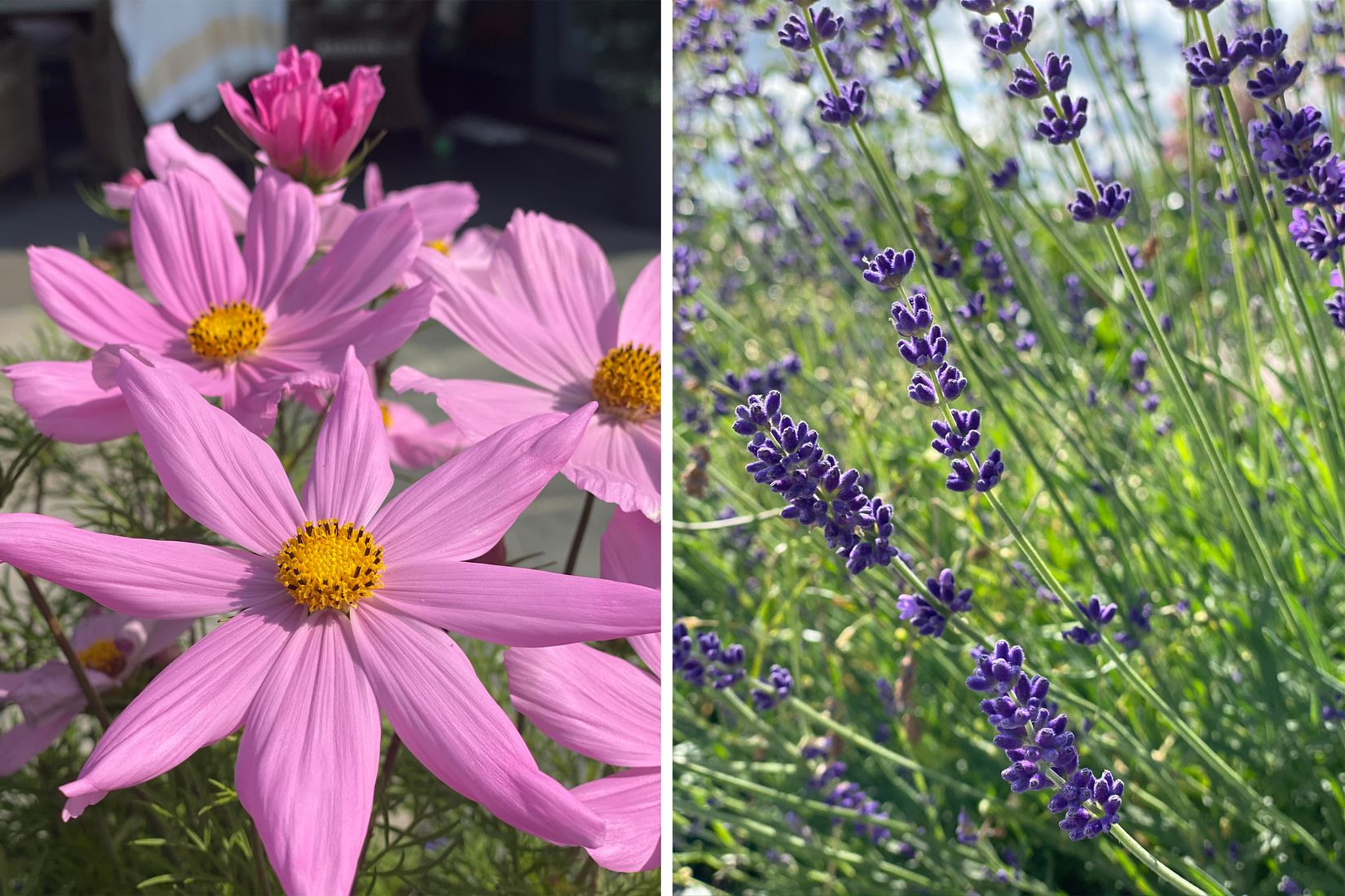 Villa, Grimvägen 10, Sigtuna - Granby Strand, Sigtuna
