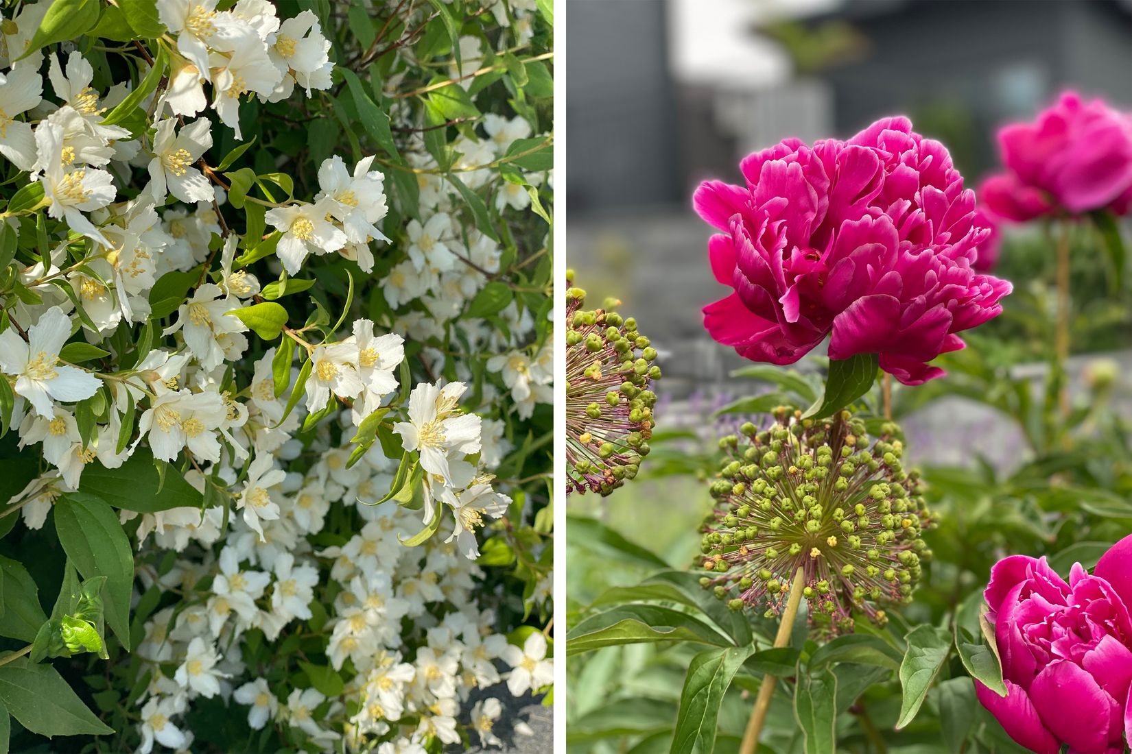 Villa, Grimvägen 10, Sigtuna - Granby Strand, Sigtuna