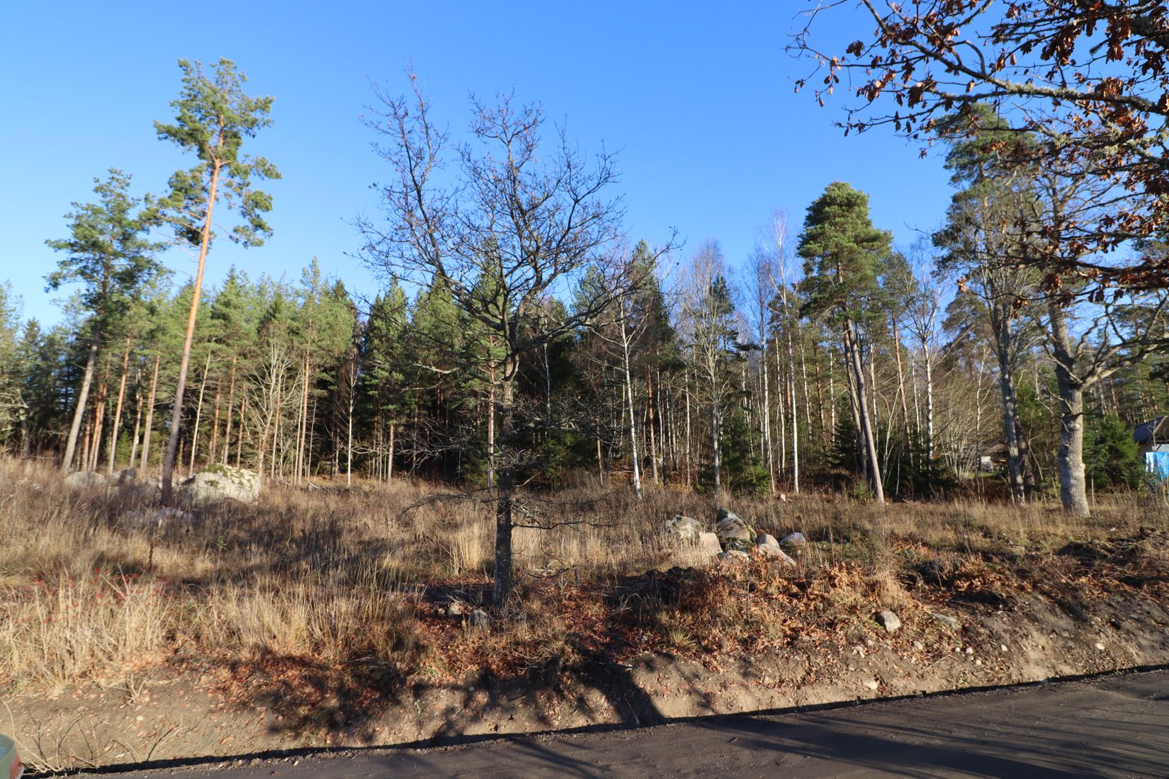 Tomt, Erlandsholmsvägen 8, Rimbo - Långsjön, Norrtälje