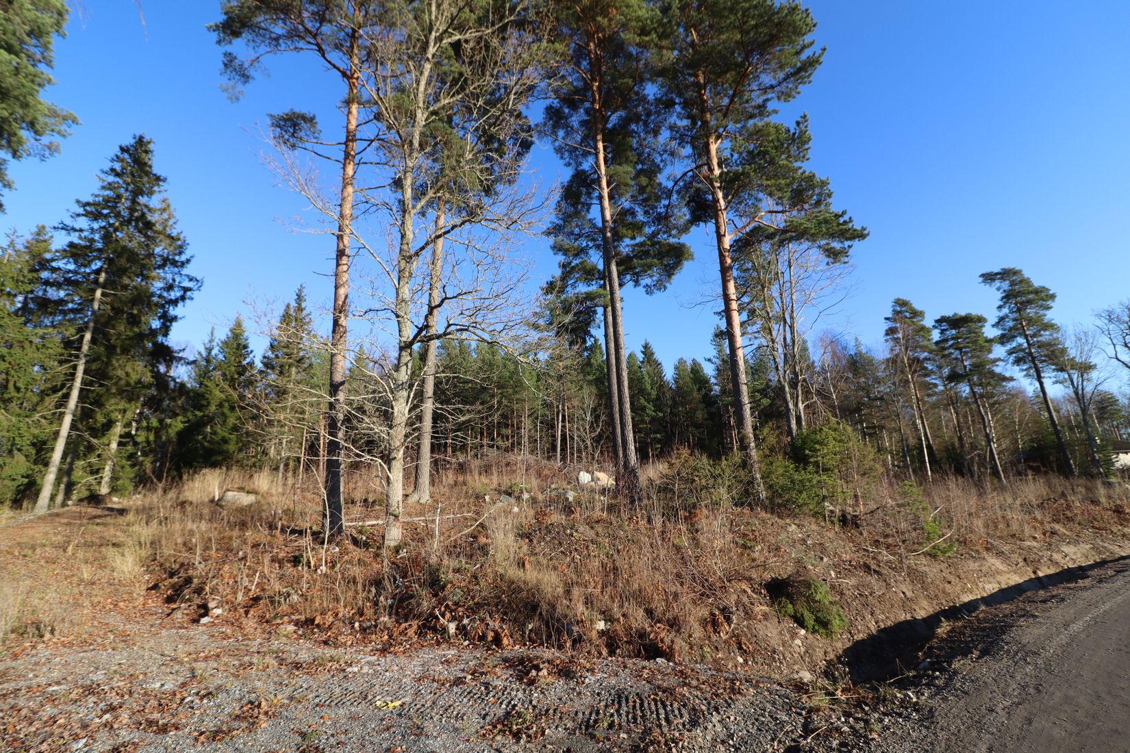 Tomt, Erlandsholmsvägen 8, Rimbo - Långsjön, Norrtälje