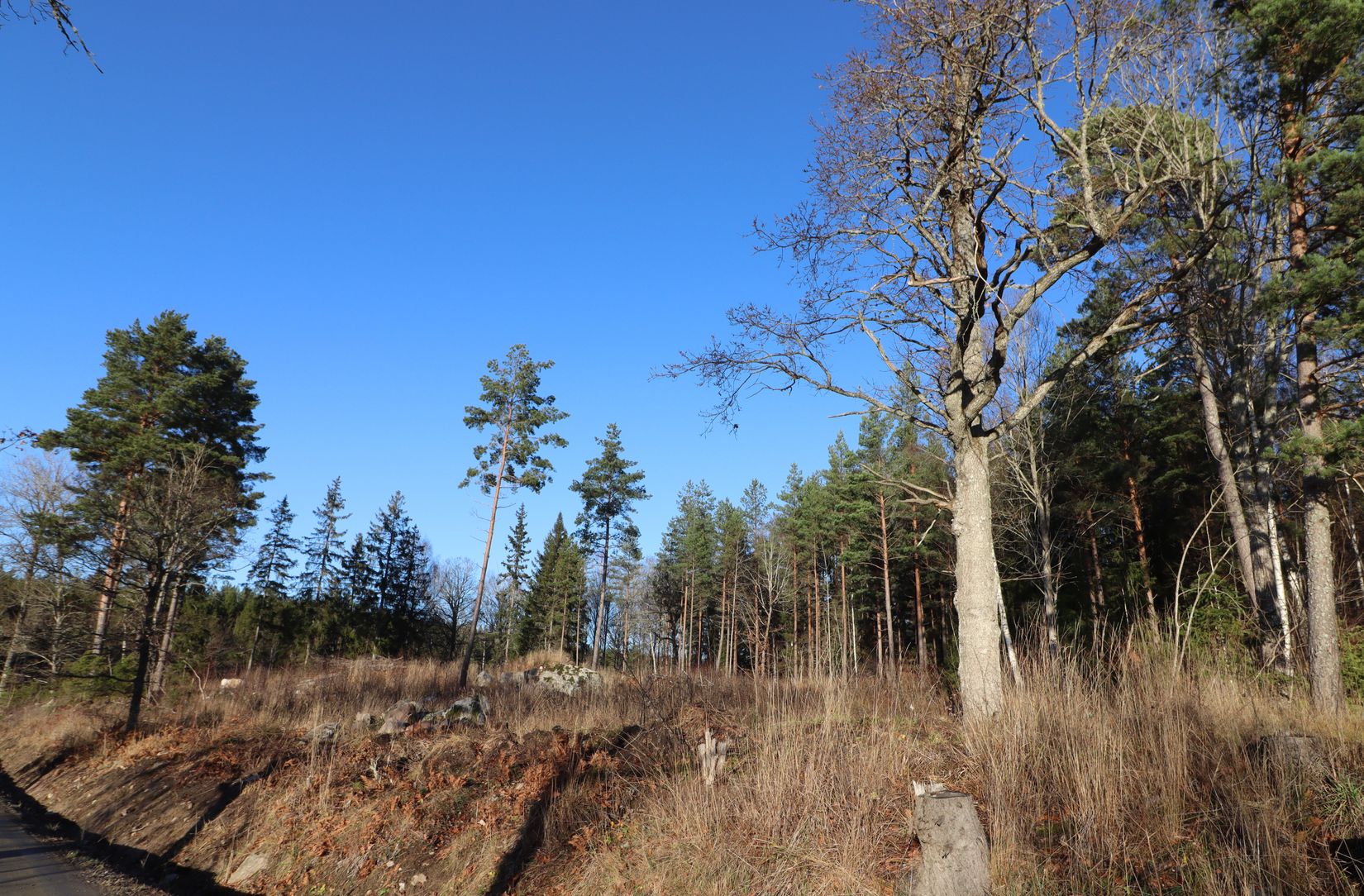 Tomt, Erlandsholmsvägen 8, Rimbo - Långsjön, Norrtälje