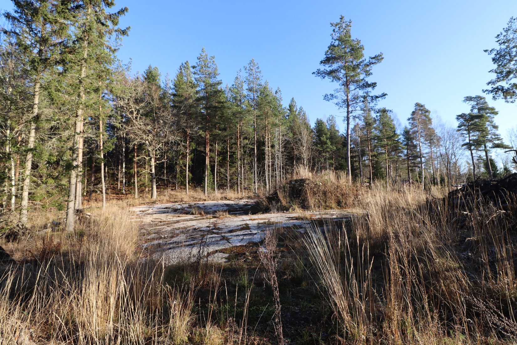 Tomt, Erlandsholmsvägen 8, Rimbo - Långsjön, Norrtälje