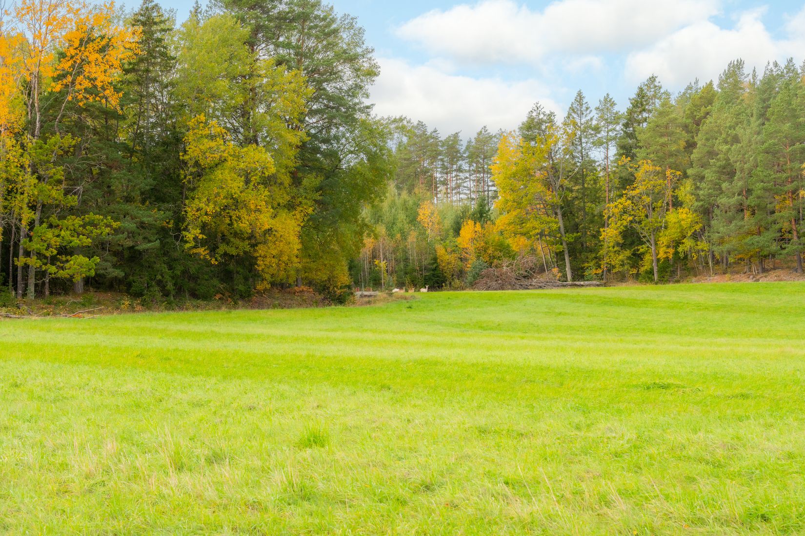 Villa, Timmervägen 2, Buskhyttan, Nyköping