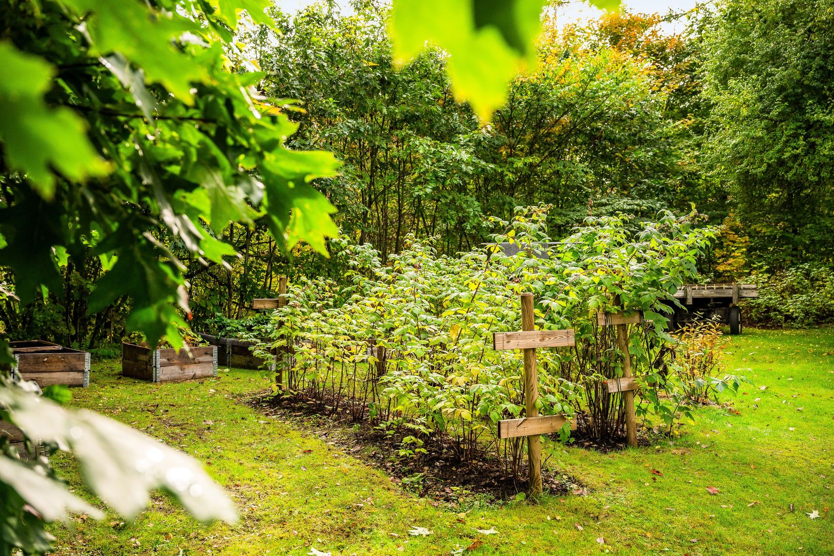 Villa, Södra Rörum 4501, Hörby