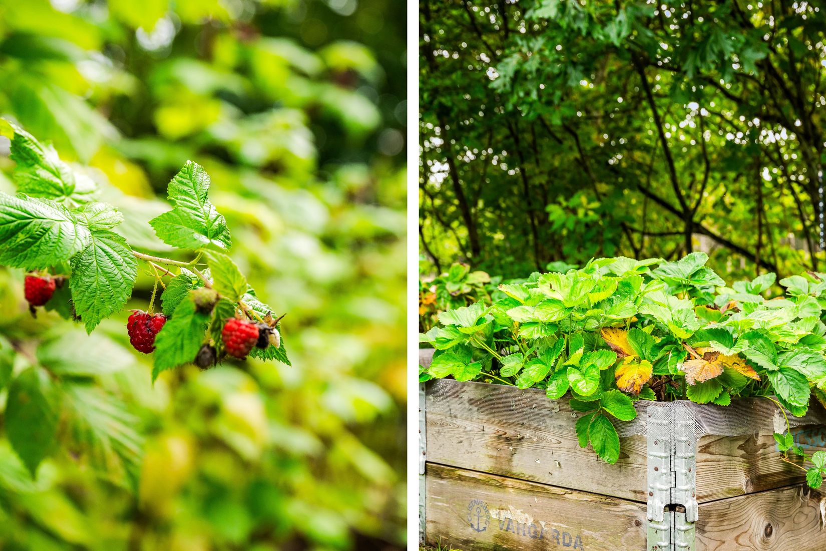 Villa, Södra Rörum 4501, Hörby