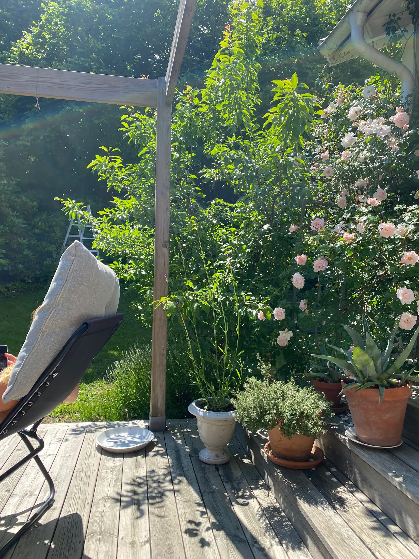 Villa, Dalgången 37, Dalgången, Karlshamn