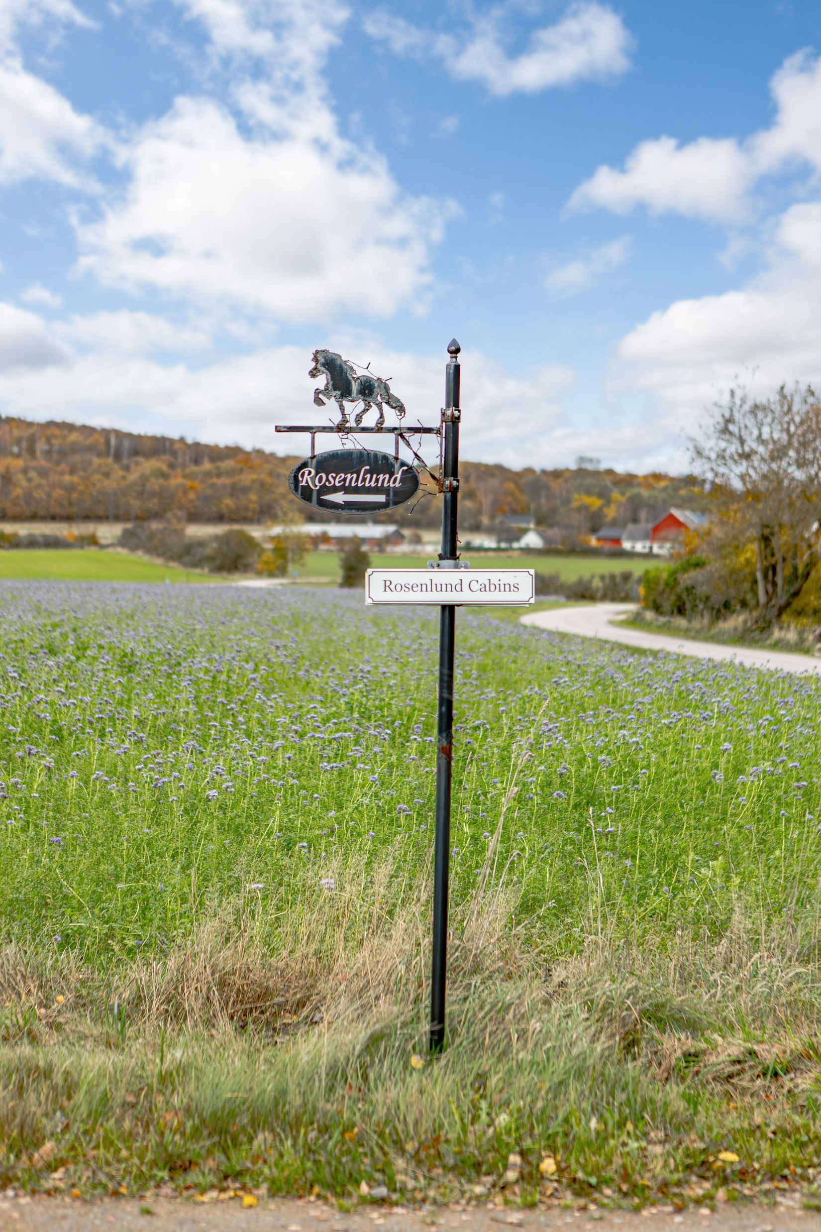 Gård/Skog, Steninge Rosenlund 222, Halmstad