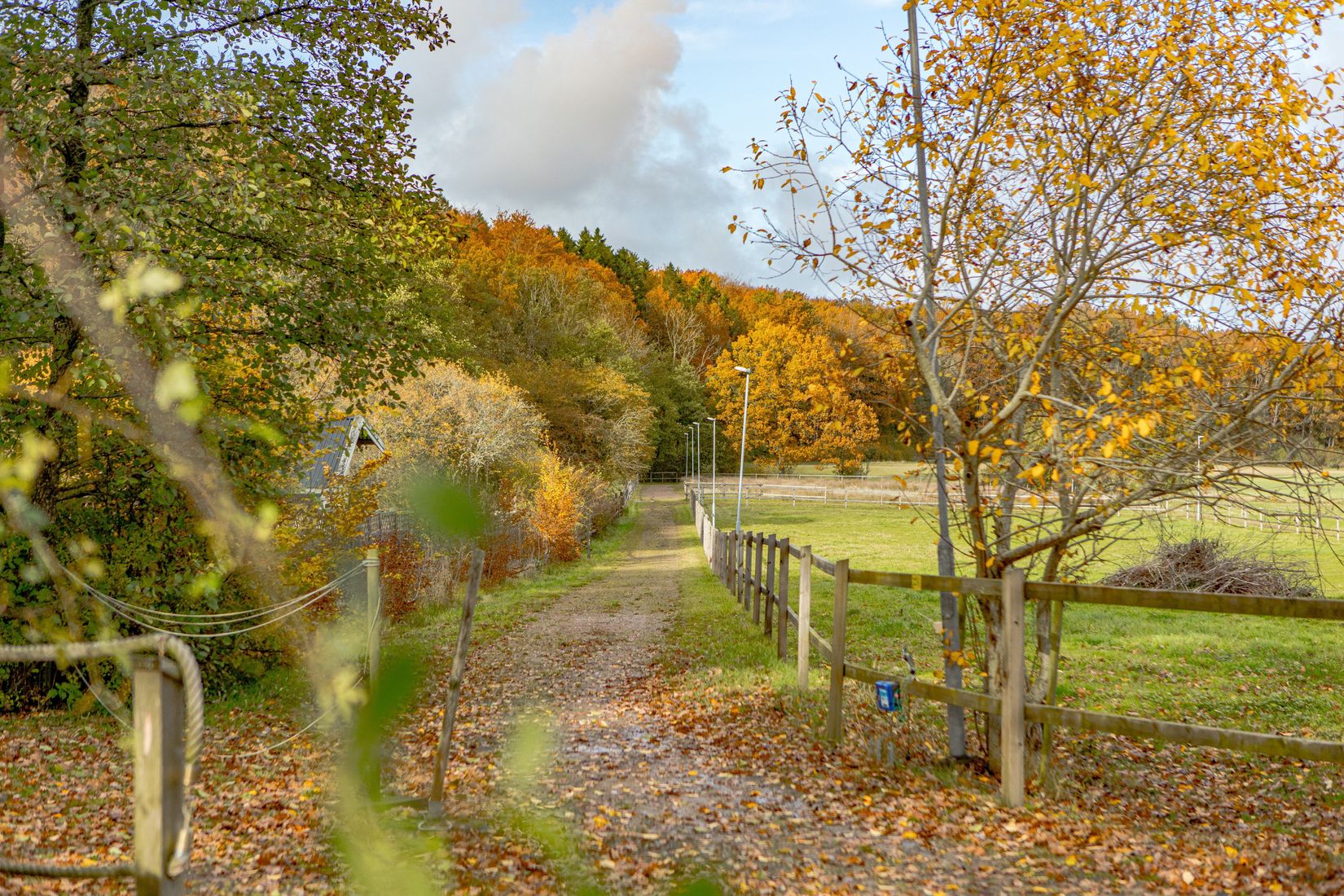 Gård/Skog, Steninge Rosenlund 222, Halmstad