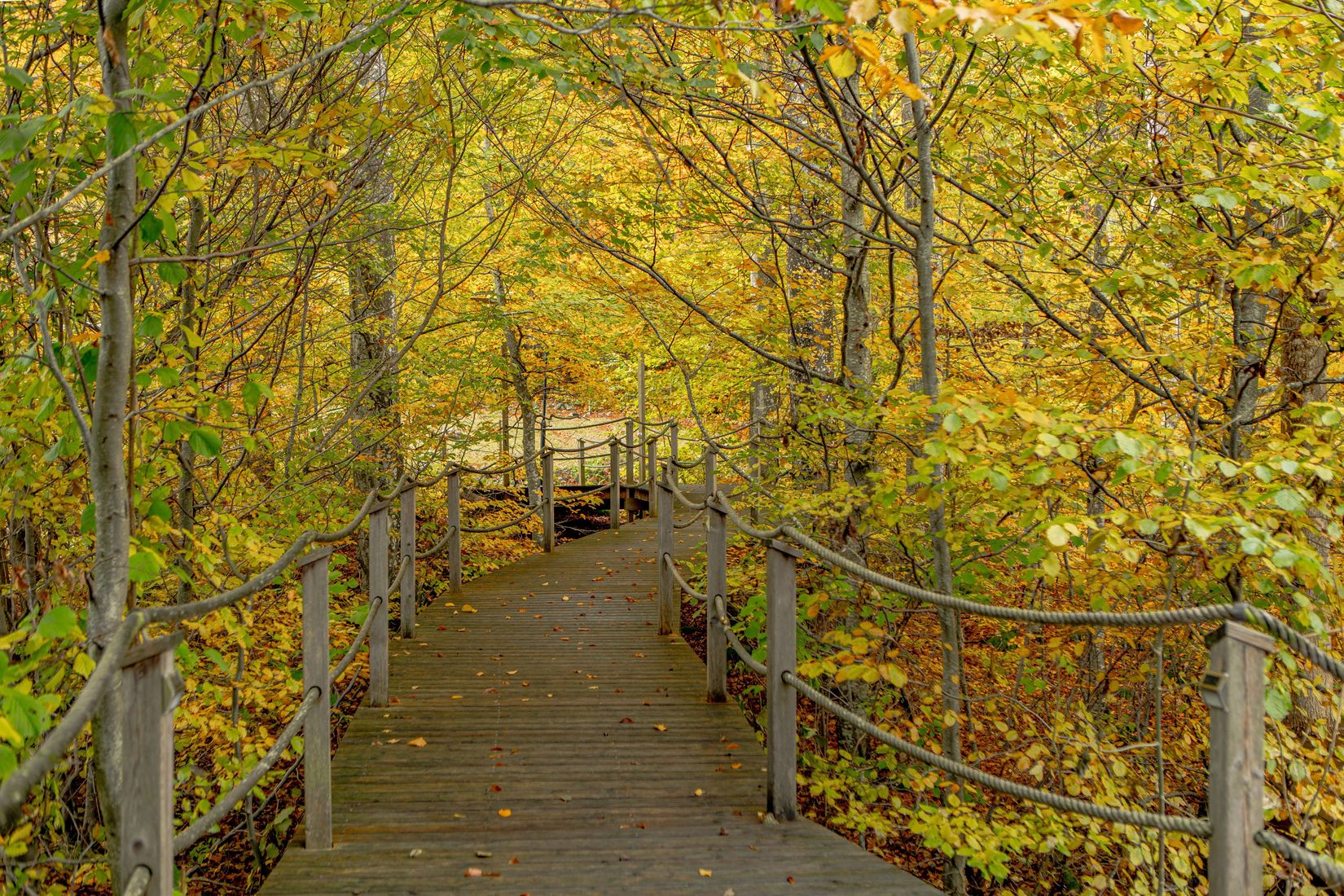Gård/Skog, Steninge Rosenlund 222, Halmstad