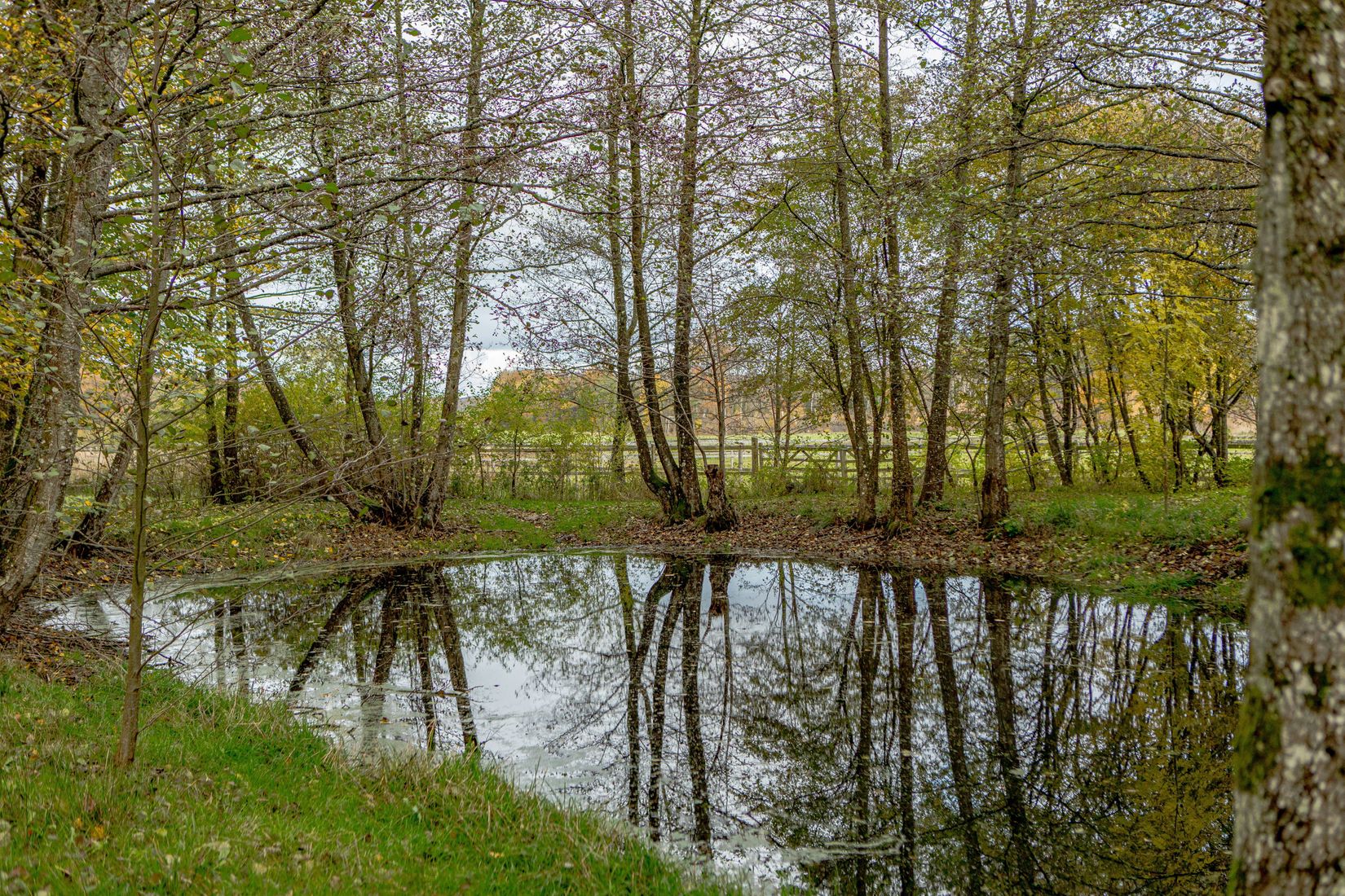 Gård/Skog, Steninge Rosenlund 222, Halmstad