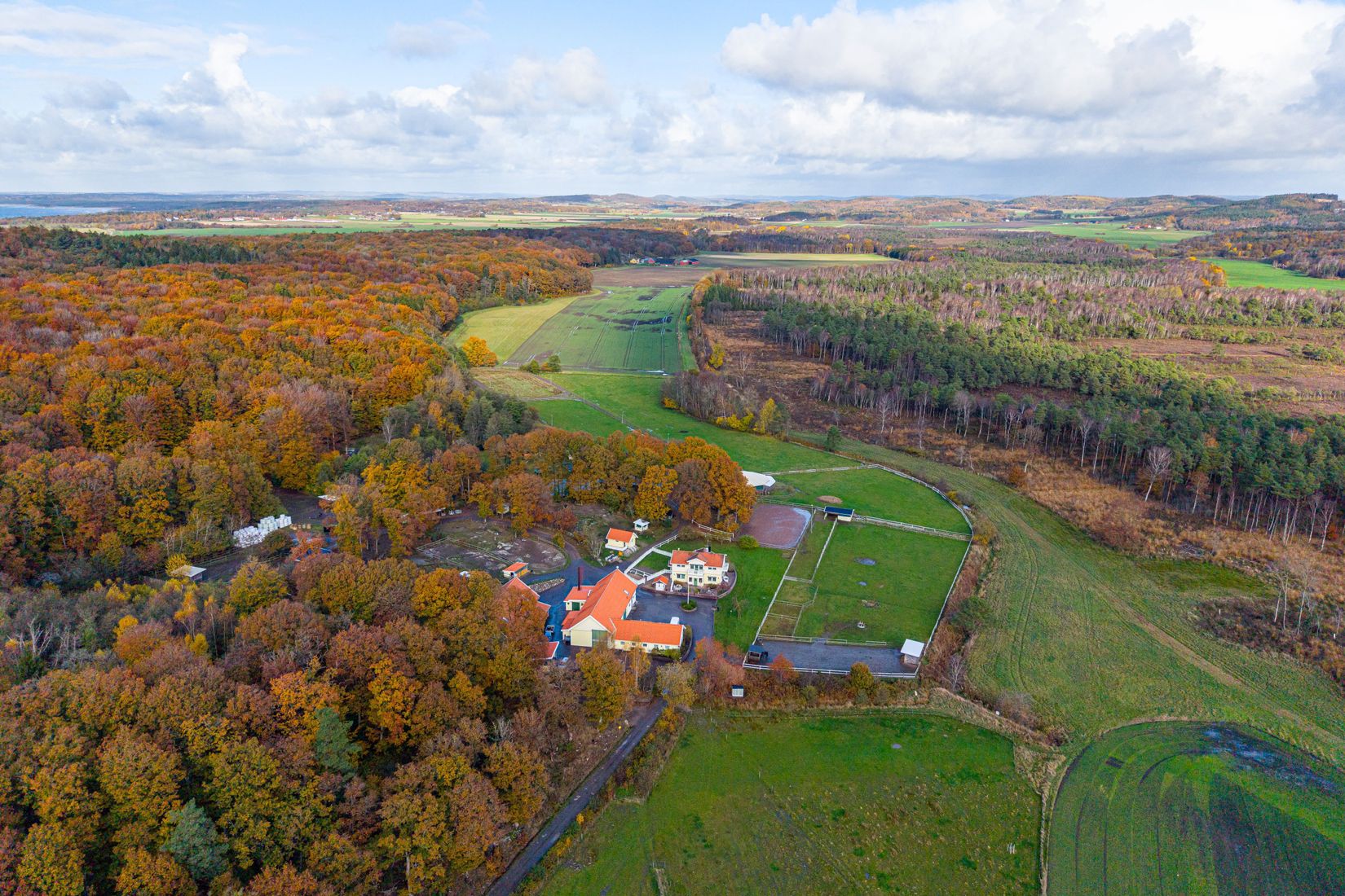Gård/Skog, Steninge Rosenlund 222, Halmstad