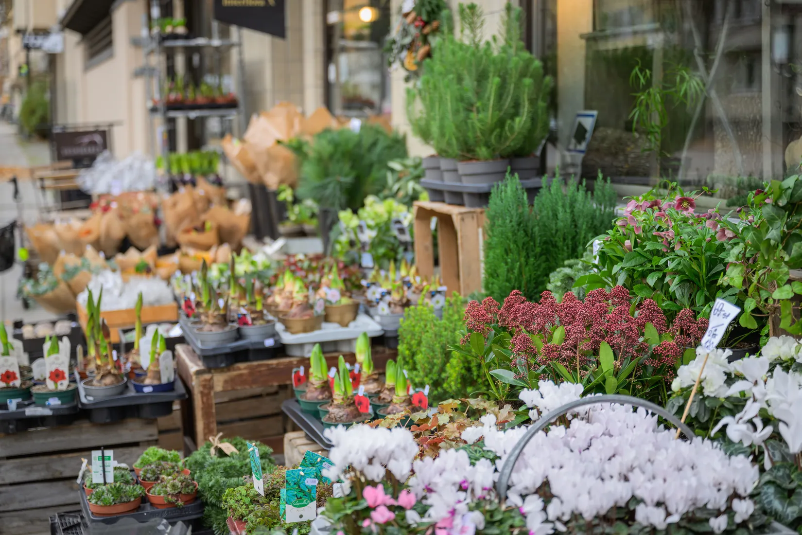 Bostadsrätt, Skvadronsgatan 9C, Slottsstaden, Malmö