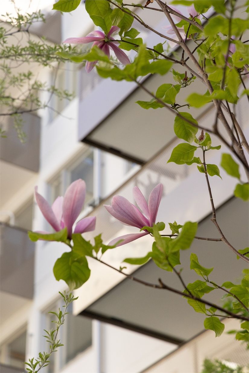 Bostadsrätt, Einar Hansens esplanad 30A, Västra Hamnen, Malmö