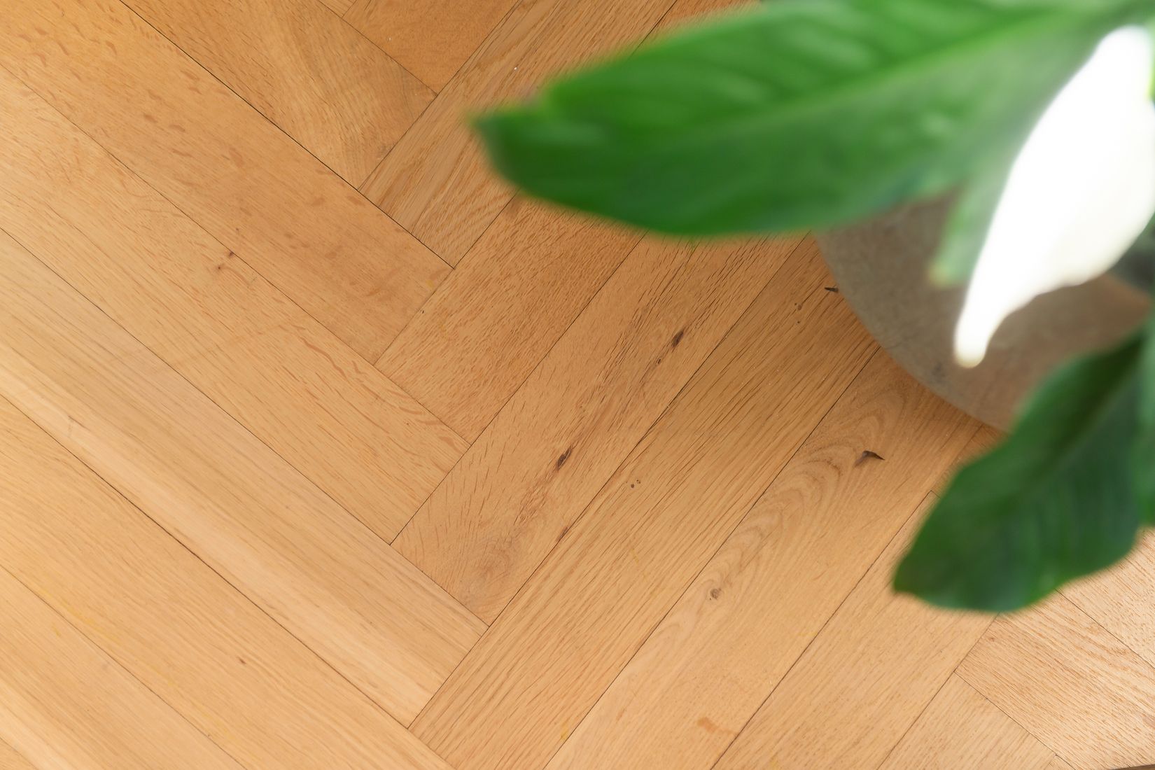 Bostadsrätt, Björnsonsgatan 138: 7.5/9tr, Bromma / Blackeberg, Stockholm