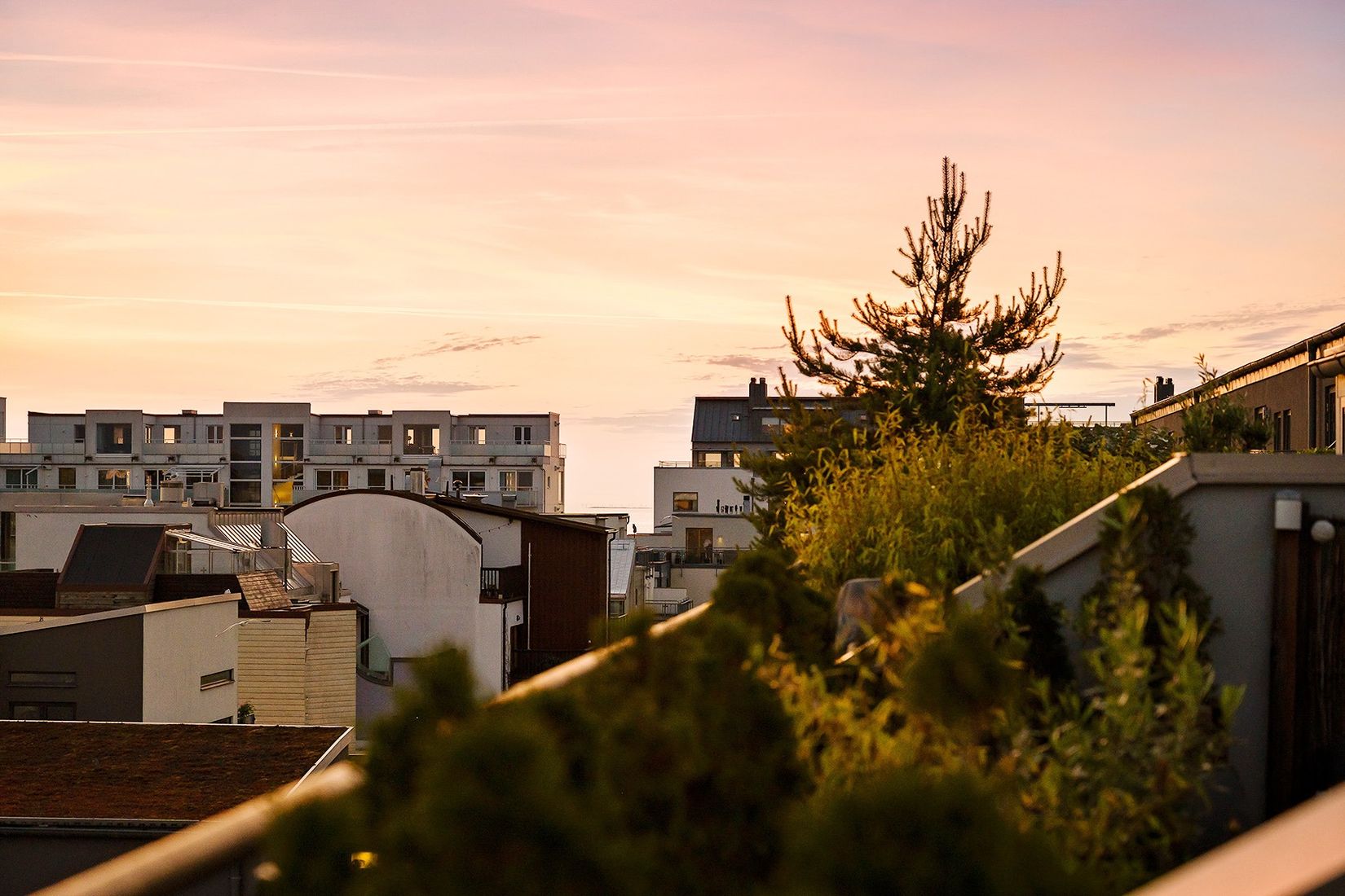 Bostadsrätt, Ankargatan 9, Malmö