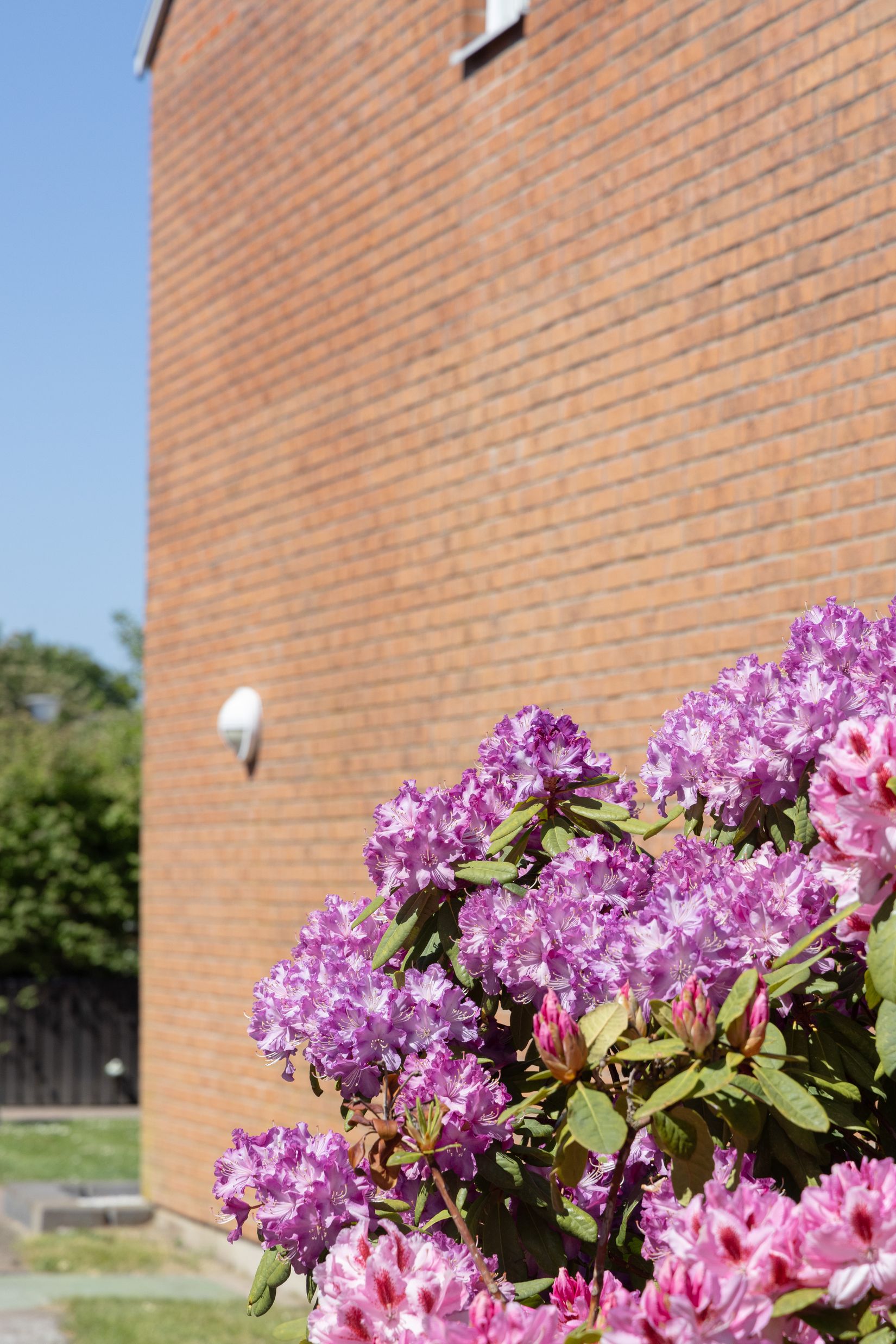 Bostadsrätt, Keramikvägen 41, Malmö