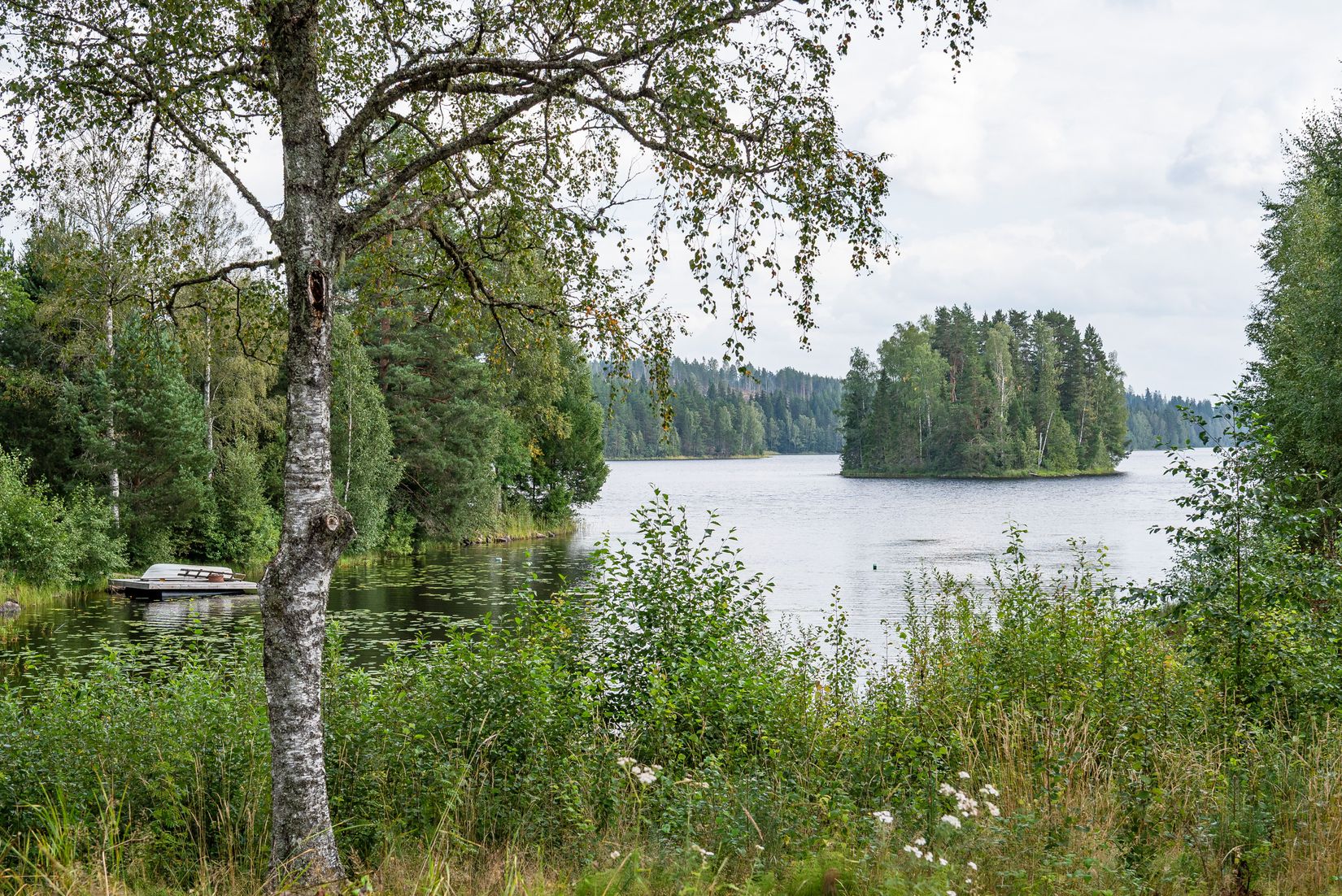 Gård/Skog, Nottjärnsvägen 18, Torsby