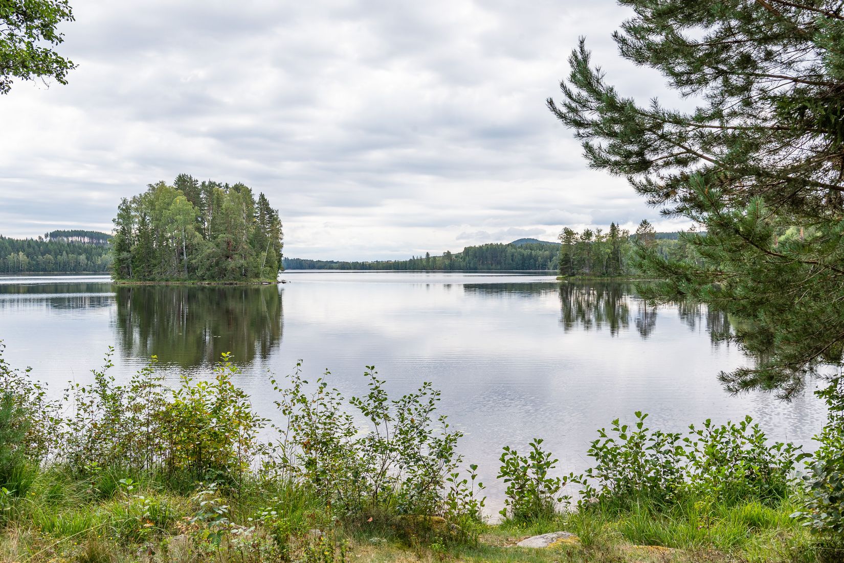 Gård/Skog, Nottjärnsvägen 18, Torsby
