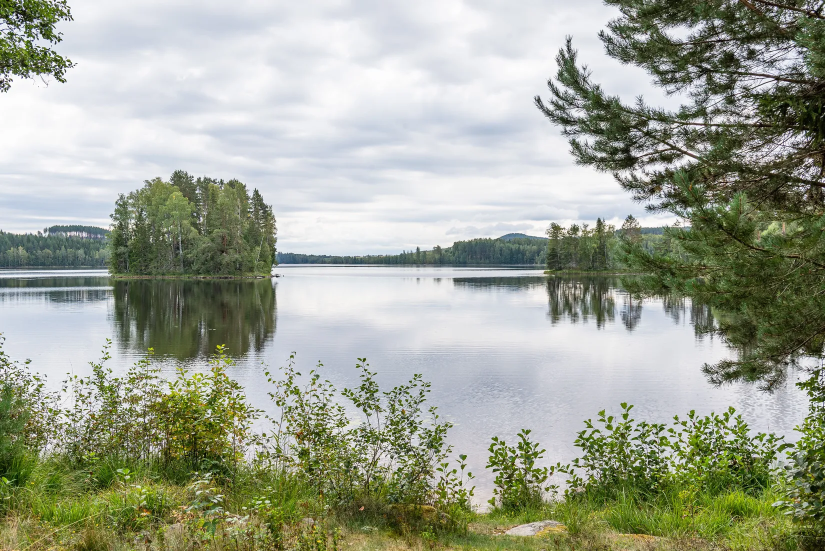 Gård/Skog, Nottjärnsvägen 18, Torsby
