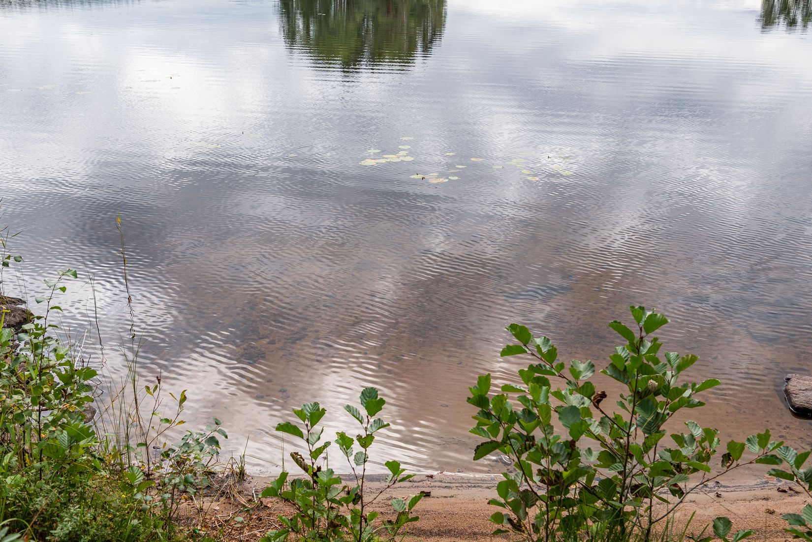 Gård/Skog, Nottjärnsvägen 18, Torsby