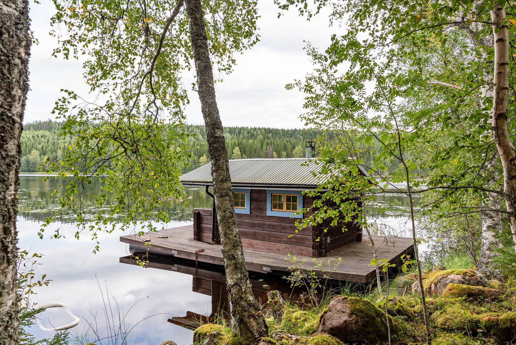 Gård/Skog, Nottjärnsvägen 18, Torsby