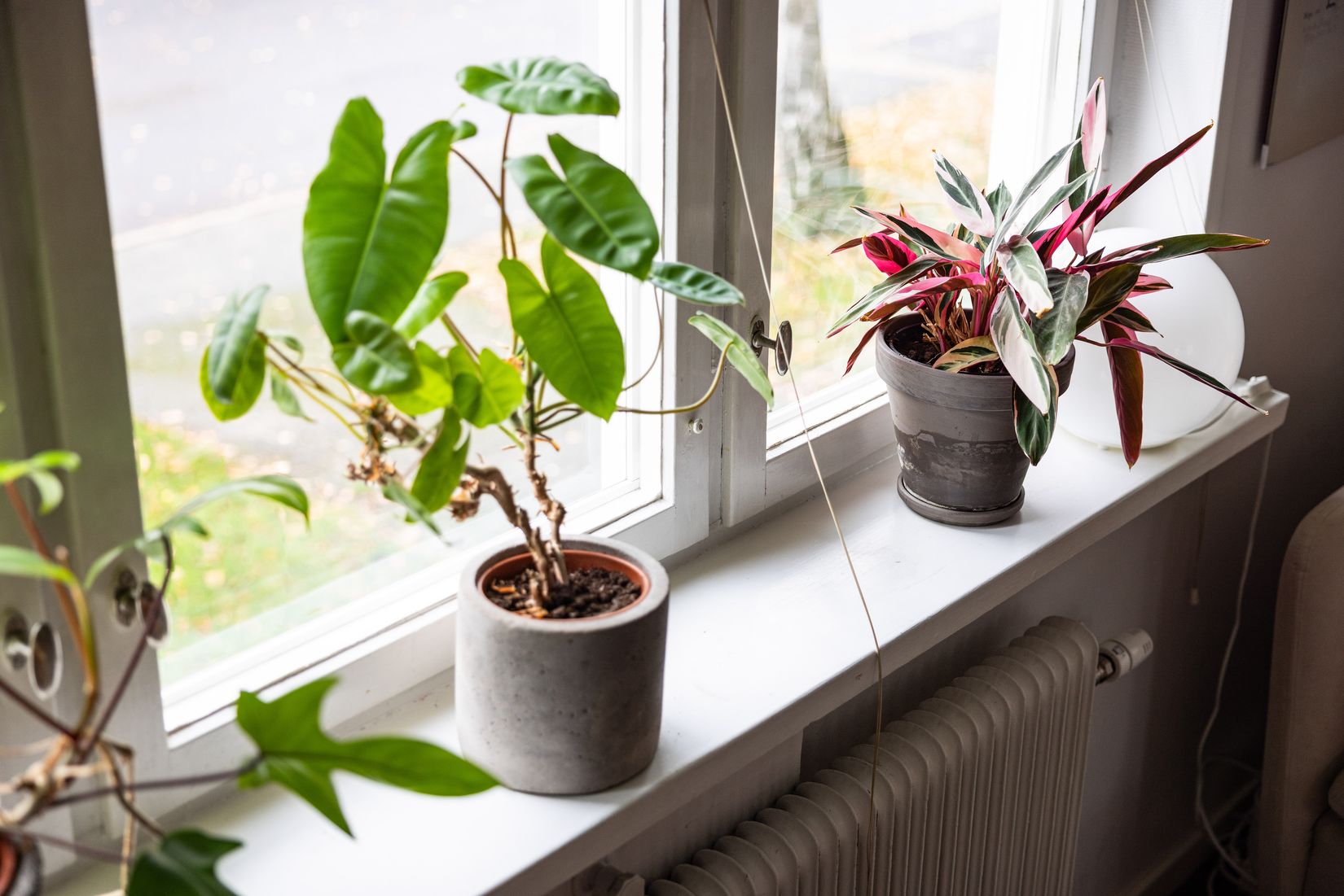 Bostadsrätt, Wahlbergsgatan 14, Hammarbyhöjden, Johanneshov, Stockholm