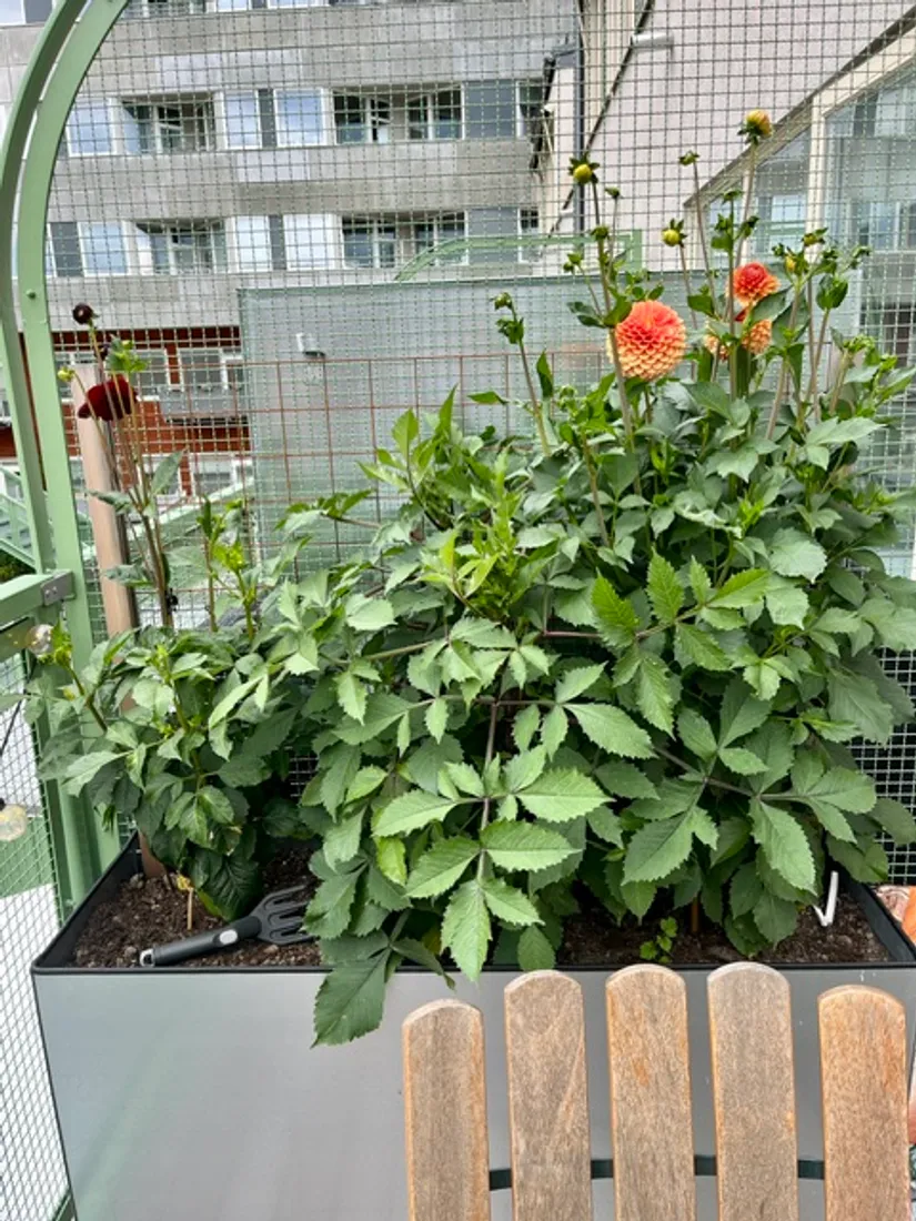 Bostadsrätt, Wilhelm Kåges gata 52B, Gustavsbergs Hamn, Värmdö