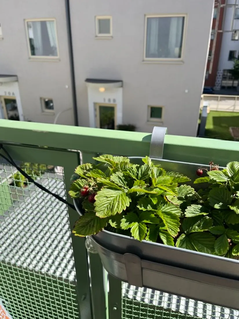 Bostadsrätt, Wilhelm Kåges gata 52B, Gustavsbergs Hamn, Värmdö