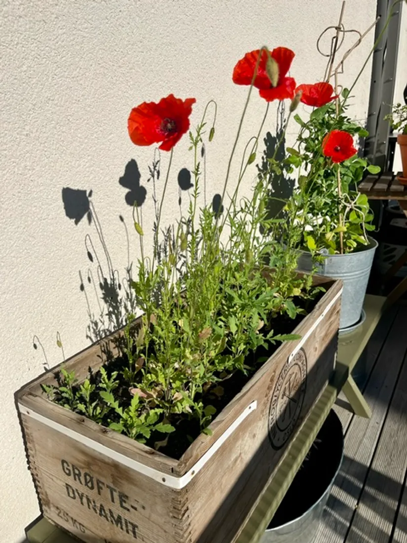 Bostadsrätt, Wilhelm Kåges gata 52B, Gustavsbergs Hamn, Värmdö