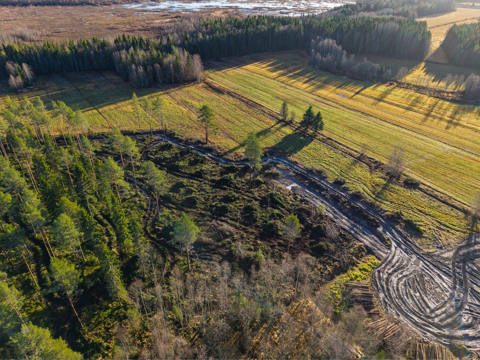 Tomt, Yttertavle, Yttertavle, Umeå
