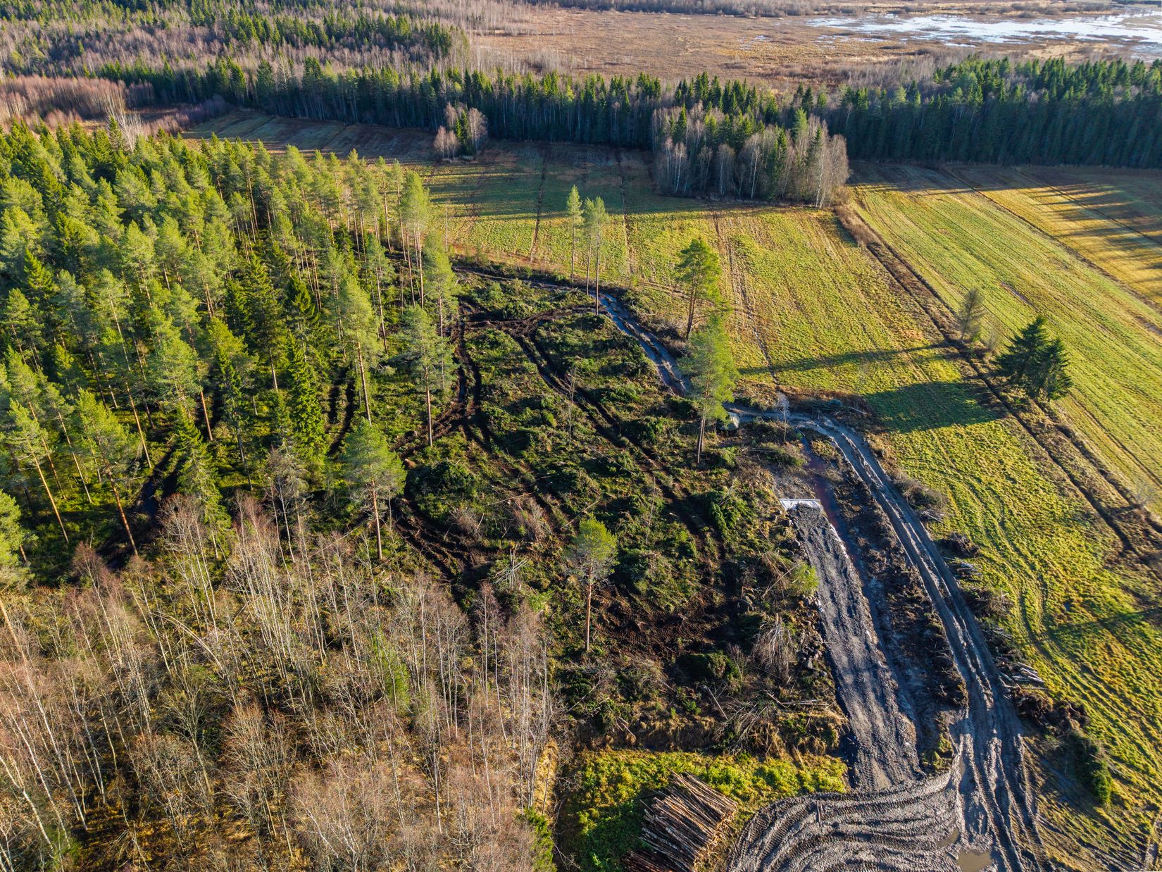 Tomt, Yttertavle, Yttertavle, Umeå