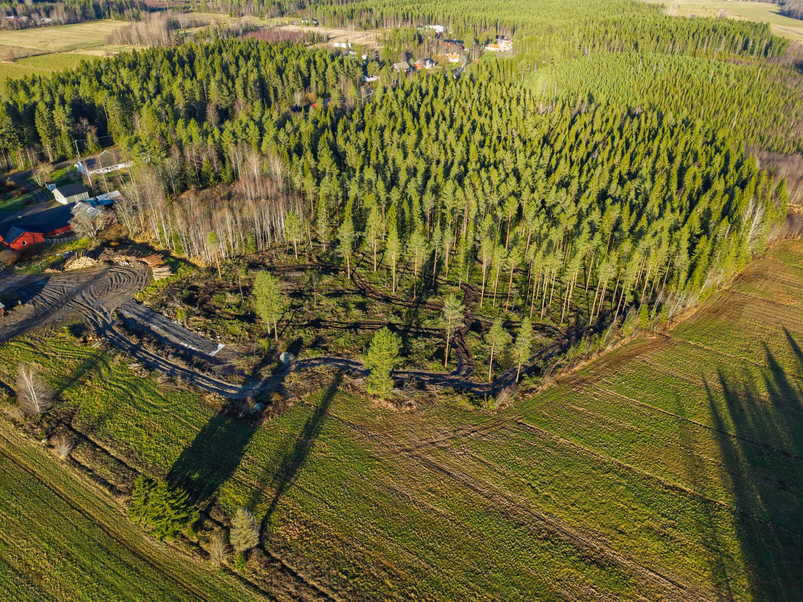 Tomt, Yttertavle, Yttertavle, Umeå