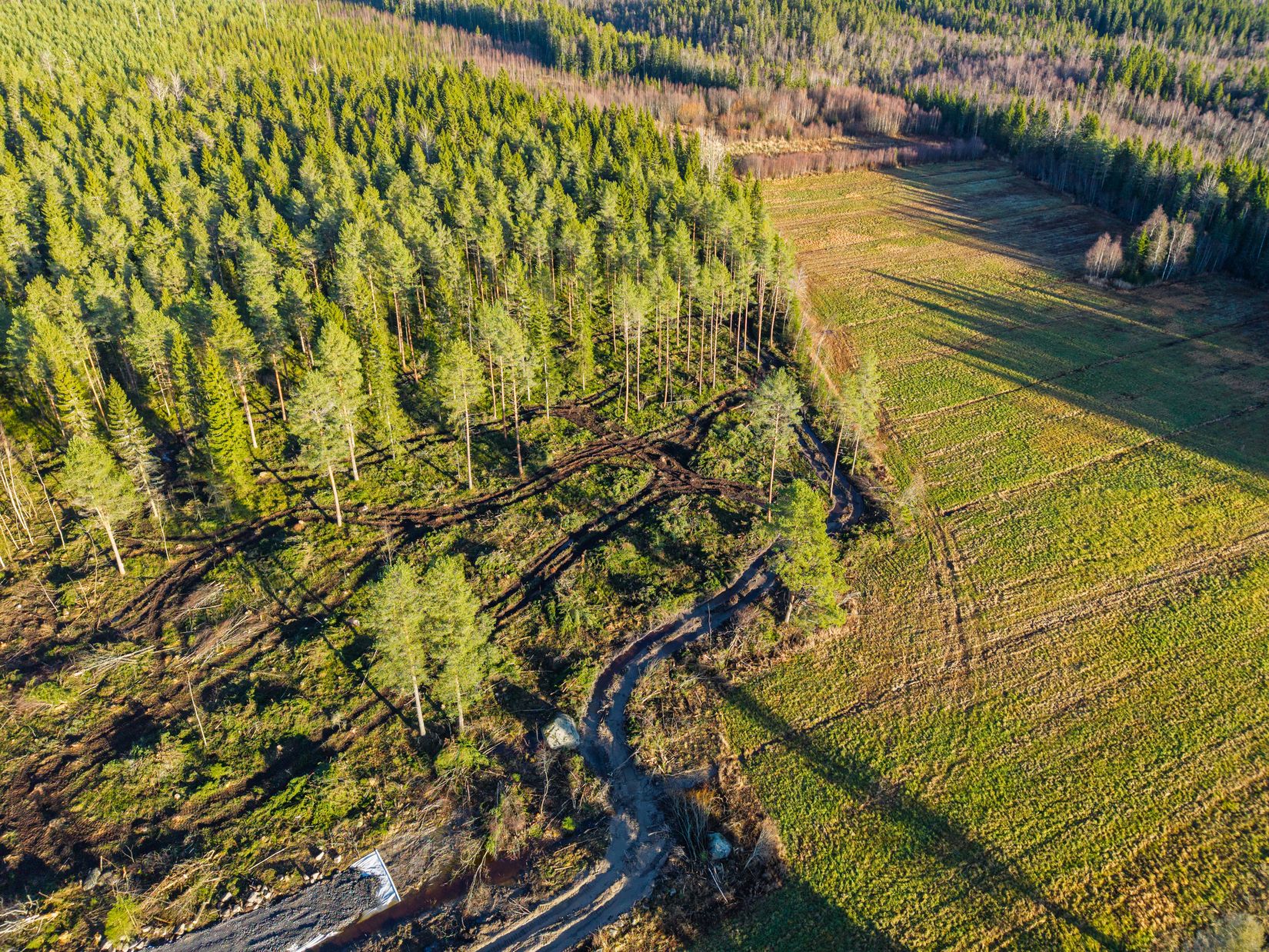 Tomt, Yttertavle, Yttertavle, Umeå