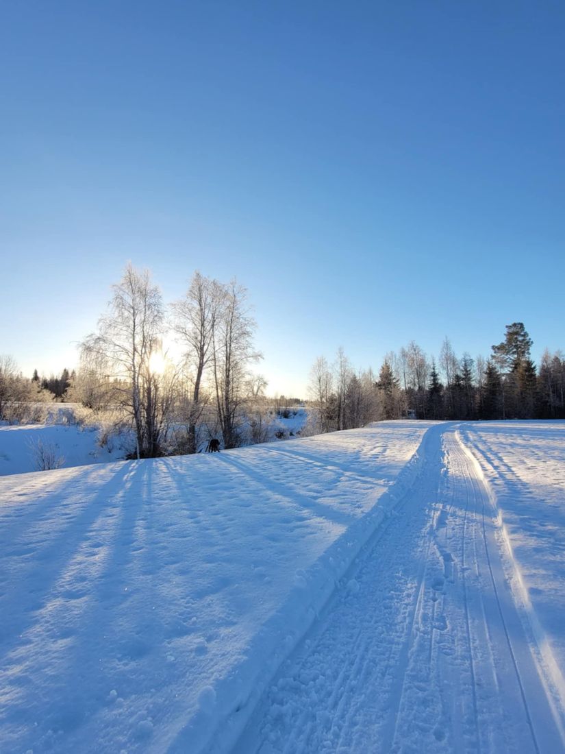 Villa, Fäbodåkern 35, Fäbodåkern, Umeå