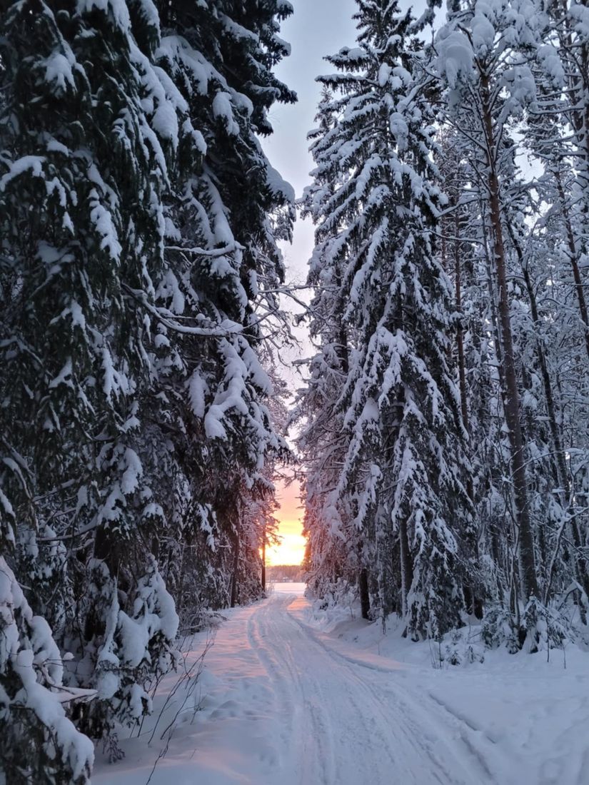 Villa, Fäbodåkern 35, Fäbodåkern, Umeå