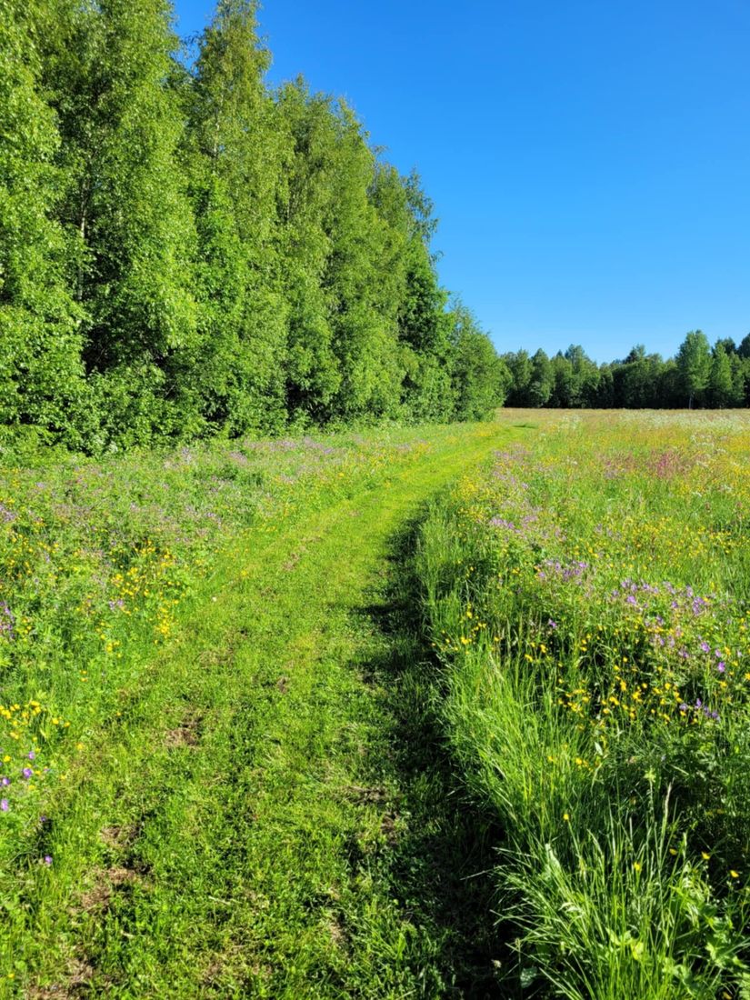 Villa, Fäbodåkern 35, Fäbodåkern, Umeå