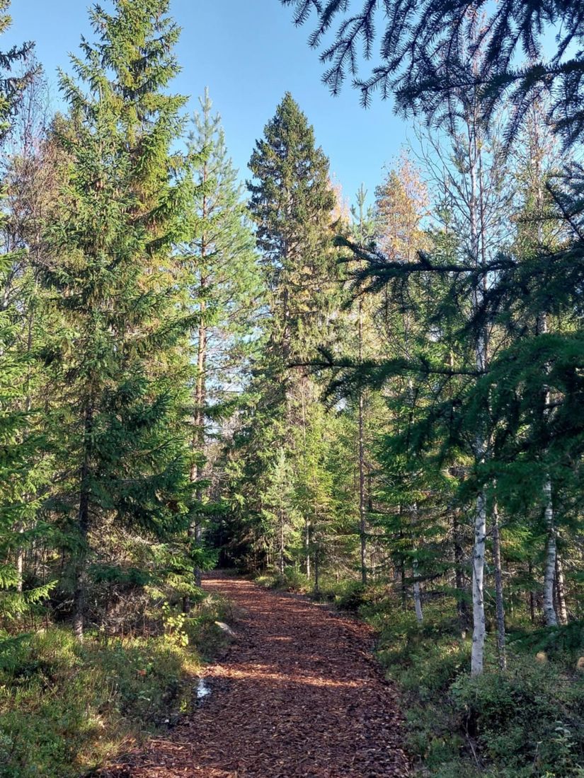 Villa, Fäbodåkern 35, Fäbodåkern, Umeå