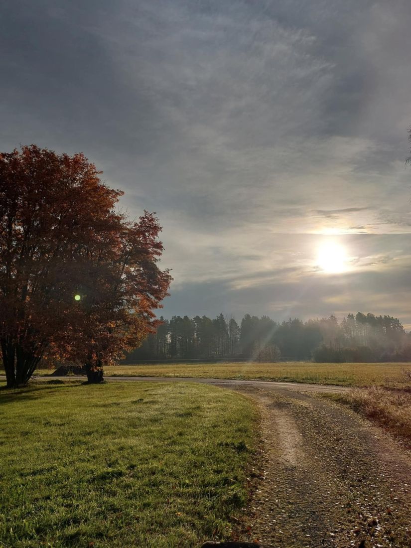 Villa, Fäbodåkern 35, Fäbodåkern, Umeå