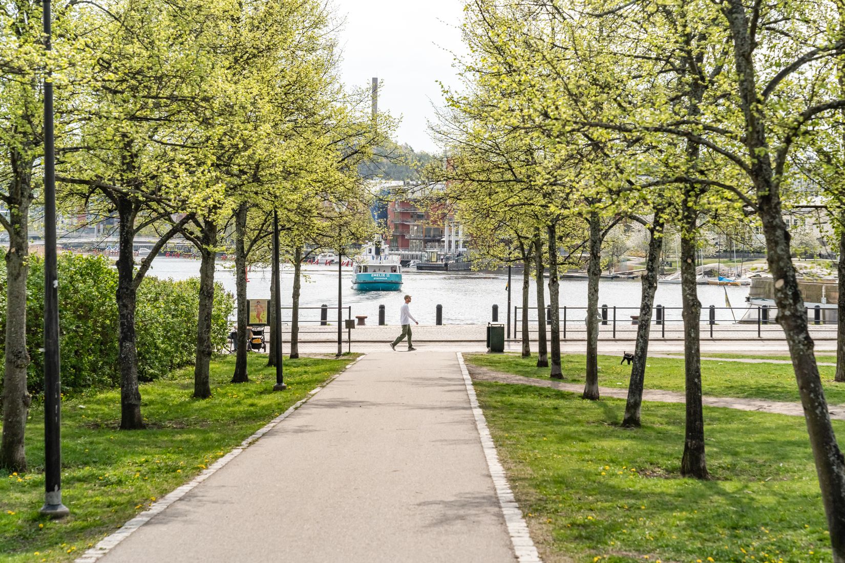 Bostadsrätt, Södermannagatan 66, Södermalm, Stockholm