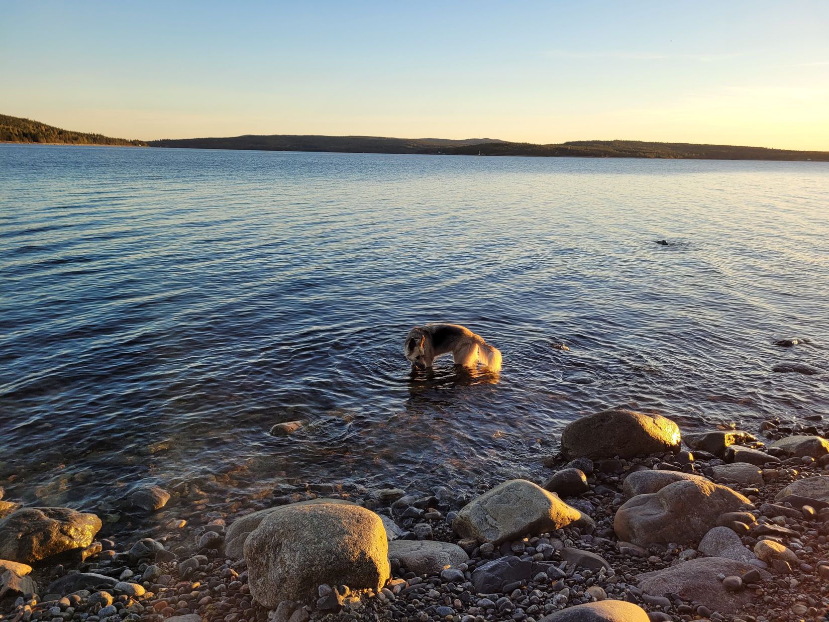 Bostadsrätt, Långgatan 26, Härnön, Härnösand