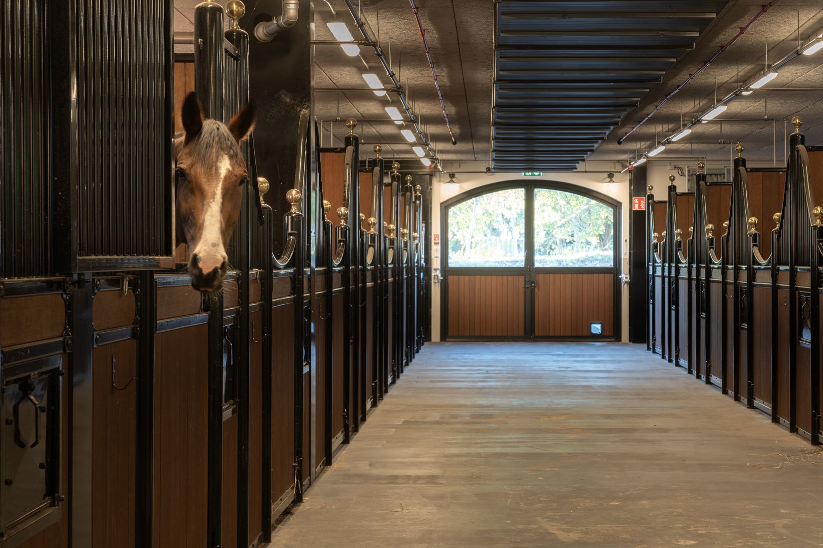 Gård/Skog, Valinge by 53, Varberg