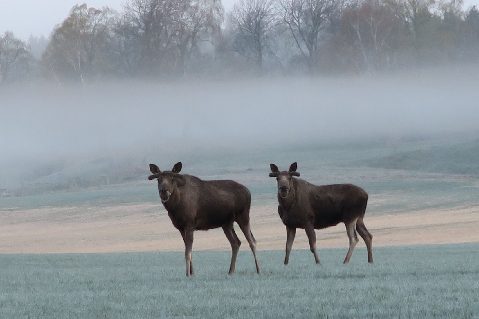 Villa, Sänkevägen 14, Ösmo, Nynäshamn
