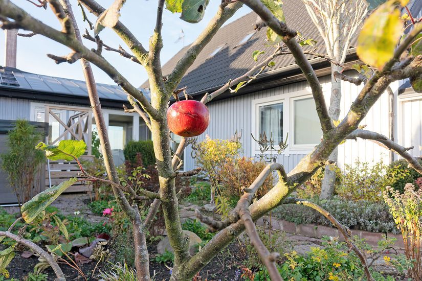 Villa, Järnvägsgatan 2, Öland, Mörbylånga